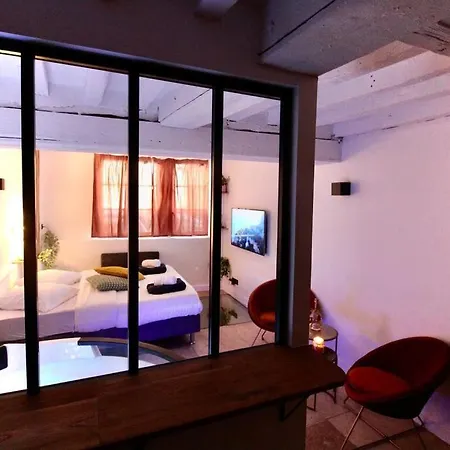 Apartment Le Beauvoisine - Jacuzzi Sauna Centre Free Parking *